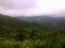 Green mountains in the fog.