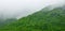 green mountains in fog panoramic nature view Mountain scenery and cold fog in the morning 3D illustration