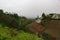 Green mountains, jungle and asian terraced farms.