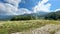 Green mountains next to green grass and daisies