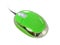 Green Mouse