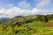 Green moutain - Chiang Mai, Thailand