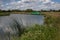 A green narrowboat on the Thames River at Farmoor in Oxfordshire in the UK