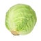 Green natural cabbage head isolated on the white background