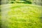 Green natural lawn, grass background, blur image, place for text