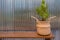 Green natural pine tree houseplant in pot made from bamboo weave on wooden table with zinc wall interior decoration