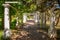 Green natural tunnel with classic columns and plants, Alushta, Crimea. Old walkway under natural arches in summer