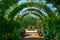 Green natural tunnel of plants and flowers