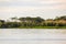 Green nature of amazon river from the boat sie of view in Leticia, Colombia