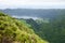 Green nature on the beautiful azores islands