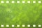 Green nature film strip (Dandelion)