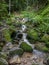 Green nature in the French Vosges, with fresh green moss, running water and waterfalls