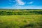 Green nature landscape with grassland hills and blue sky, tranquil countryside