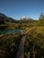 Green nature landscape panorama at idyllic clear blue spring Zelenci lake pond near Kranjska Gora Julian Alps Slovenia