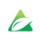 Green nature leaf triangle pyramid mountain logo design