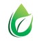 Green nature leaf water fall drop logo design