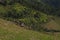 Green Nature mountain step agriculture in Asia, Vietnam, with small hut fully nature love where the farmers worker around, the