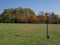 Green nature Park with a lantern. Beautiful landscape.