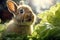 Green nature rabbit cute grass fur hare pet animal bunny mammal easter