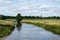 Green nature reserve with water plants at the River Mark, The Netherlands