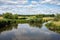 Green nature reserve with water plants at the River Mark, The Netherlands