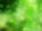 green nature with sparkle bokeh, soft christmas lights background