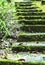 THE GREEN NATURE STEPS OF STAIR