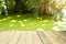 Green nature swamp  blur with wooden waterfront for product advertising montage background