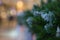 Green needles on spruce, fir, pine branches. Abstract blurred holiday background with Bokeh. Selective focus. Winter