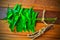 green neem leaves and twig on wooden table,neem twig,ayurvedic neem twig on wood, neem leaves