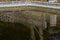 Green Neglected Swimming Pool and Reflections of Concrete Eall