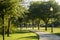 Green Neighborhood Park with a light post and a pedestrian walkway