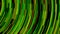 Green neon stream with striped creative texture. Animation. Abstract bending narrow neon lines flowing on black
