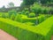 A Green nice garden with hedges cut very accurately.
