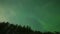 Green Northern Lights over Forest. Russia. Time Lapse