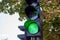 green number seven shown on digital display of traffic light signal. lucky concept. sky and trees at background
