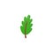 Green oak tree leaf 3d plastic cartoon vector, summer forest flora fallen leaf, nature design element, Eco icon