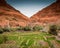 Green oasis and the Atlas mountains, Tinghir, Morocco