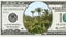 Green oasis in frame of 100 dollar bill