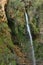 A green oasis with a waterfall and lakes in the Ein Gedi National Park in Israel on the Dead Sea