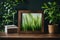 Green Oasis: Wooden Frame with Plant Photography