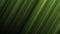 Green oblique lines motion background