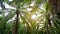 Green oil palm plantation