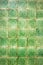 Green old portugheze tile
