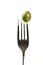 Green olive on a fork