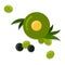 Green olive with leaves close-up and several small flat icon vector isolated