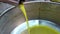 Green olive oil mill industry, extraction machine extra virgin oil liquid flow