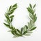 Green olive wreath on white background. Top view