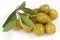 Green olives with olive branch