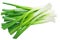 Green Onion